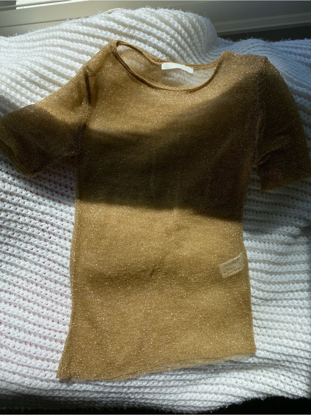 Zara gold sparkly sheer top